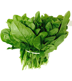 Fresh Spinach