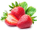 Tomato Paste